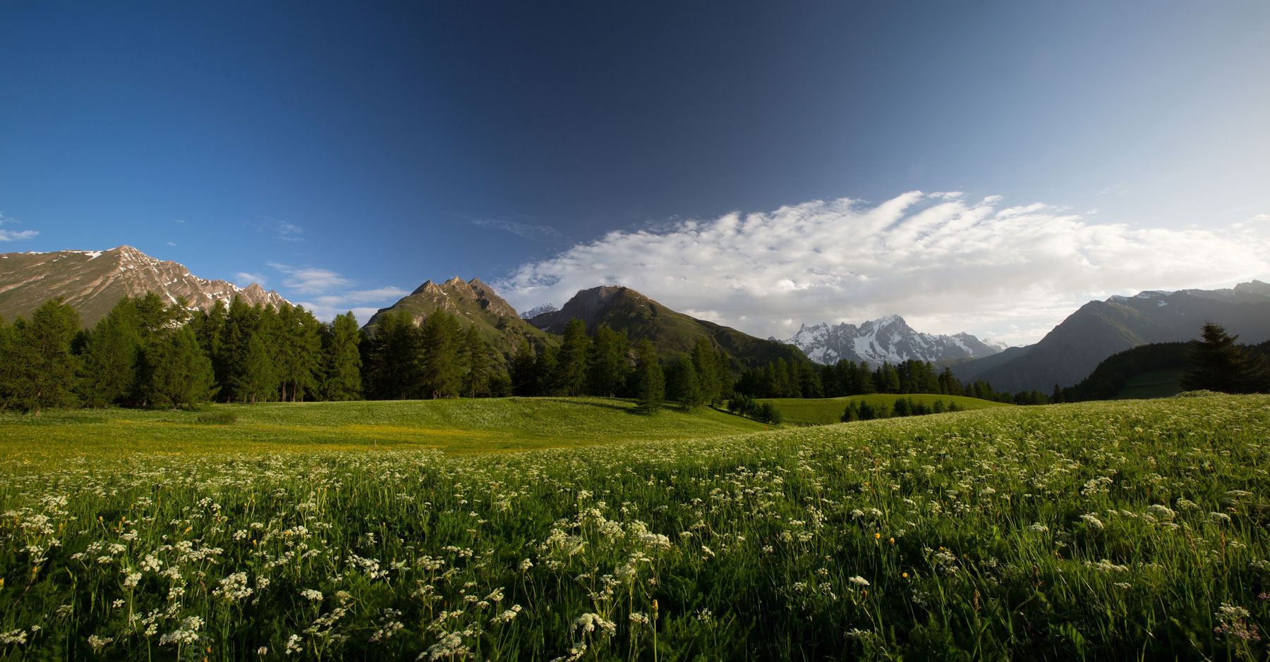 Valdigne-services-panoramica-petosan